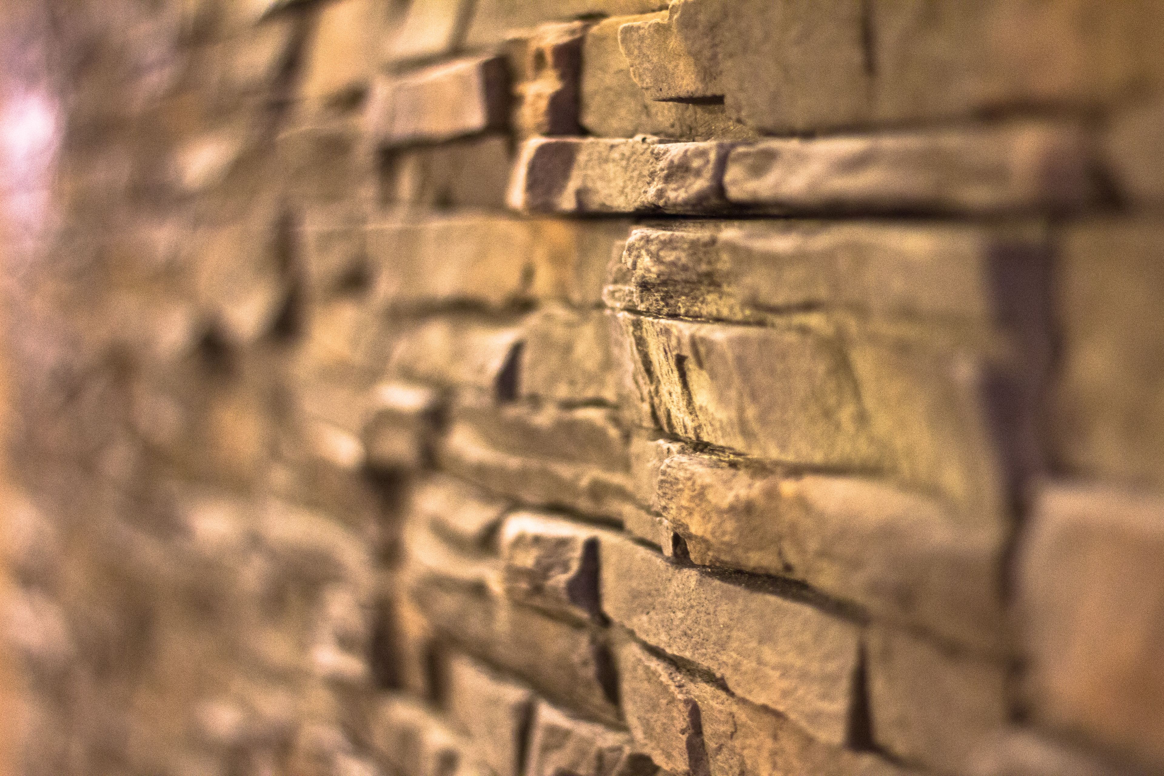 breakfast and dinner served, french cuisine