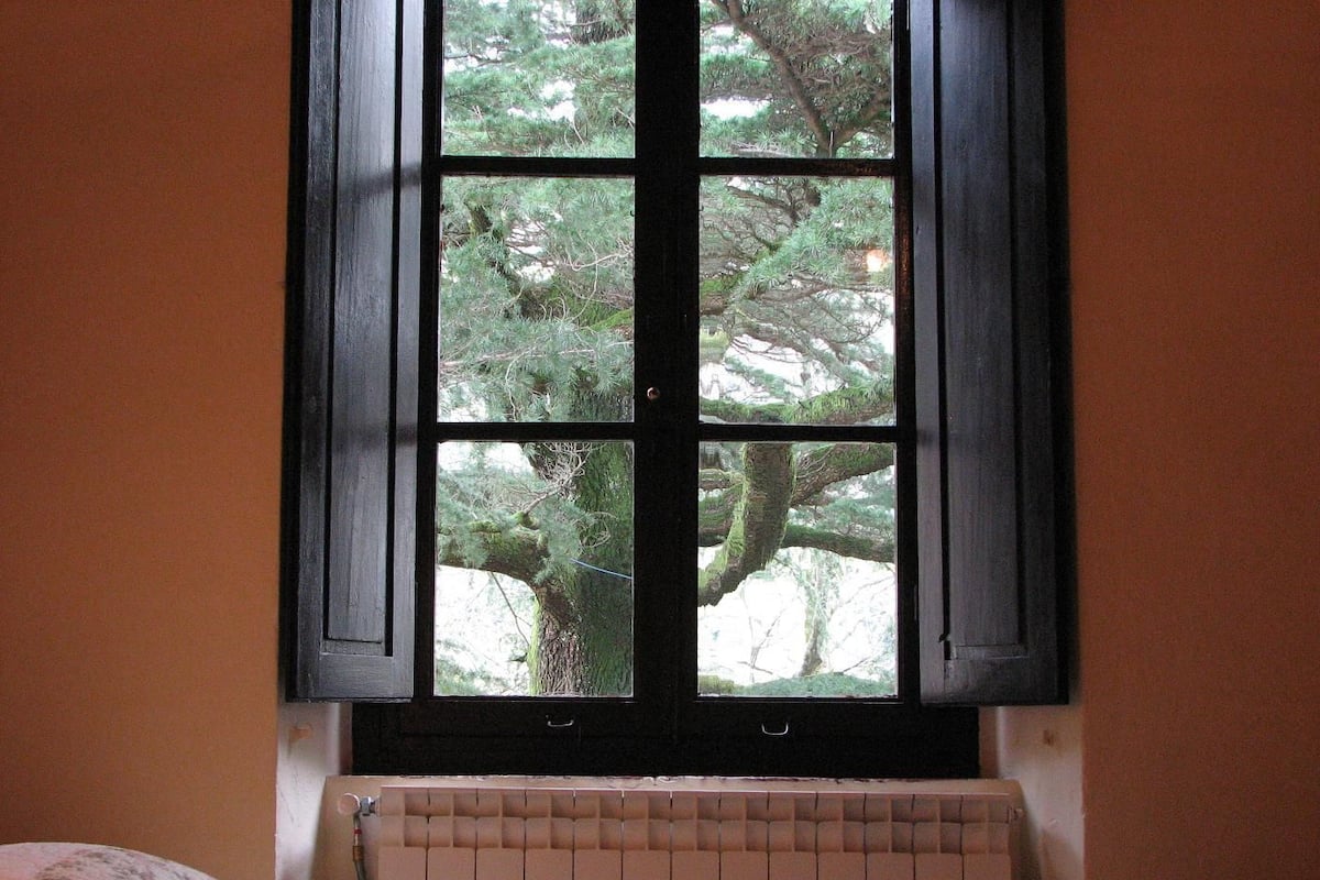 A room with a window overlooking a forest.
