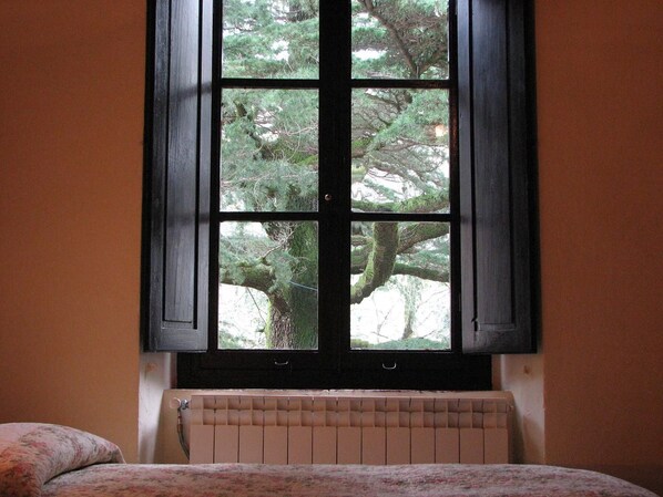 A room with a window overlooking a forest.