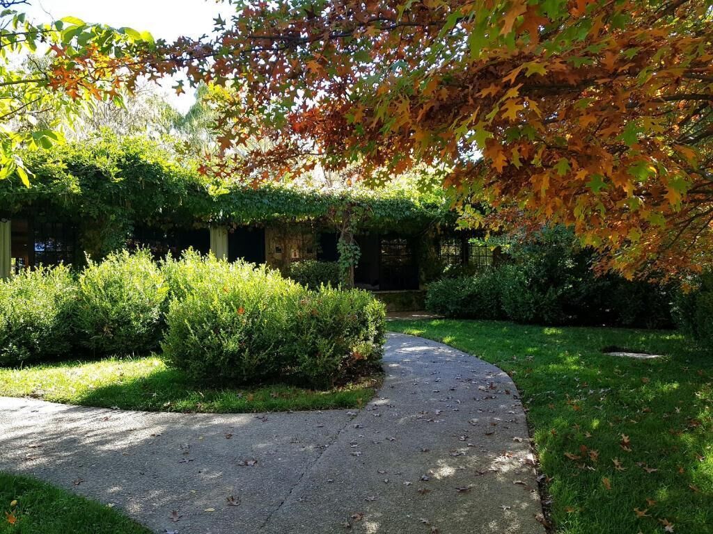 A pathway leading through a garden with various shrubs and trees, some with autumn leaves.