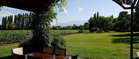An outdoor patio with a table and chairs, a pergola overhead, and a view of a vineyard and green landscape.
