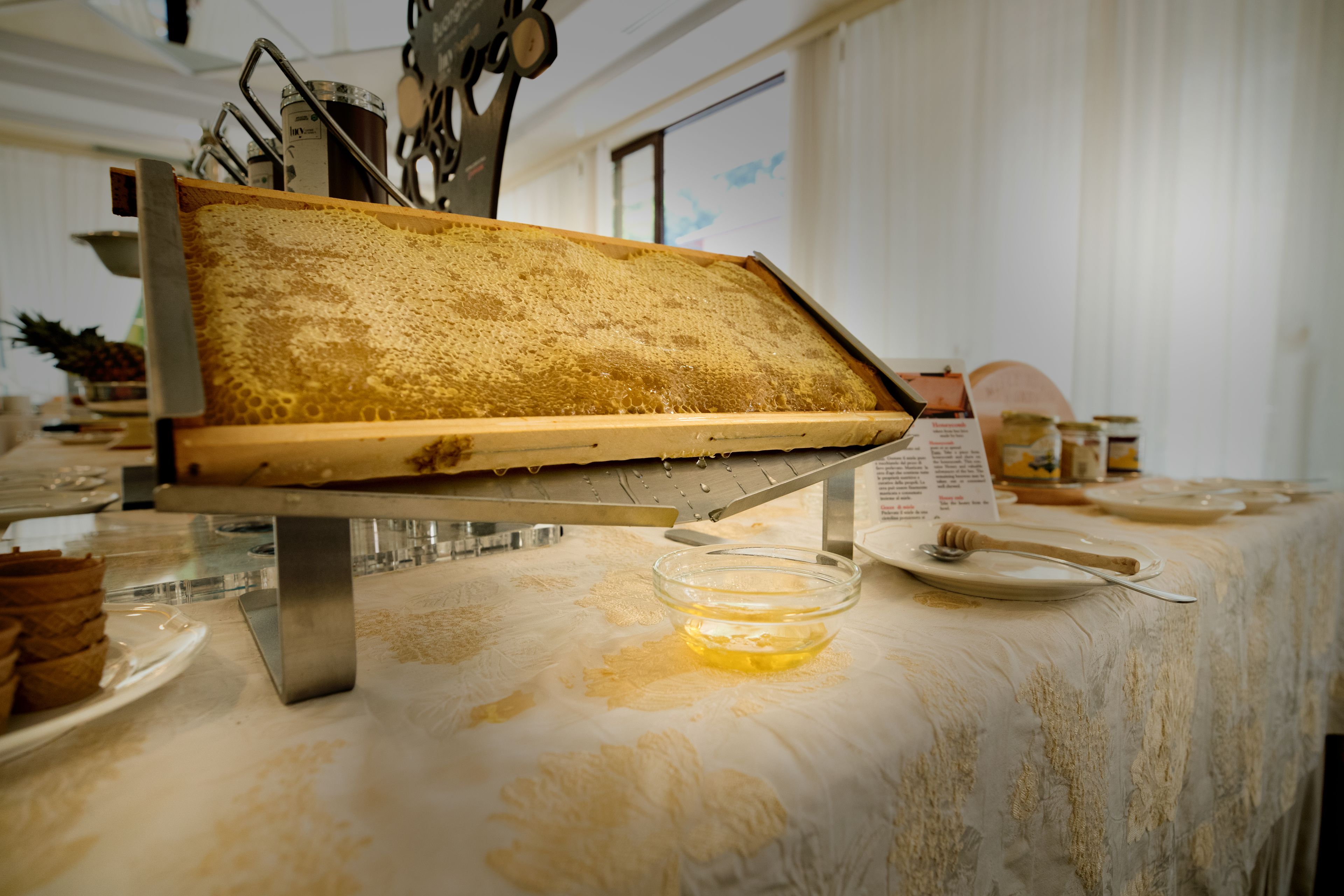 A honeycomb frame on a table with a glass bowl and a spoon.