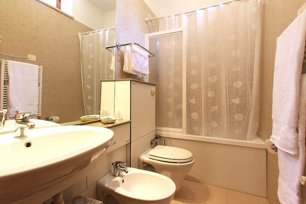 shower, free toiletries, hair dryer, bidet