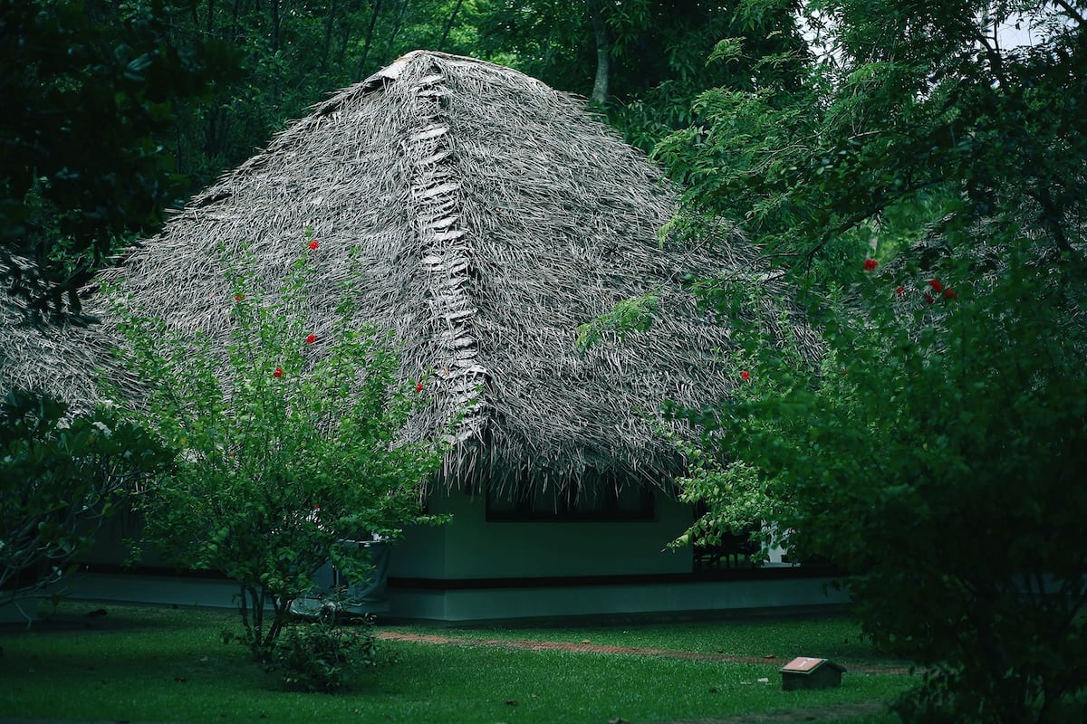 A thatched-roof structure surrounded by lush greenery.