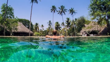 Outdoor pool, pool umbrellas, sun loungers