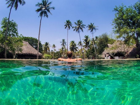 Outdoor pool, pool umbrellas, sun loungers