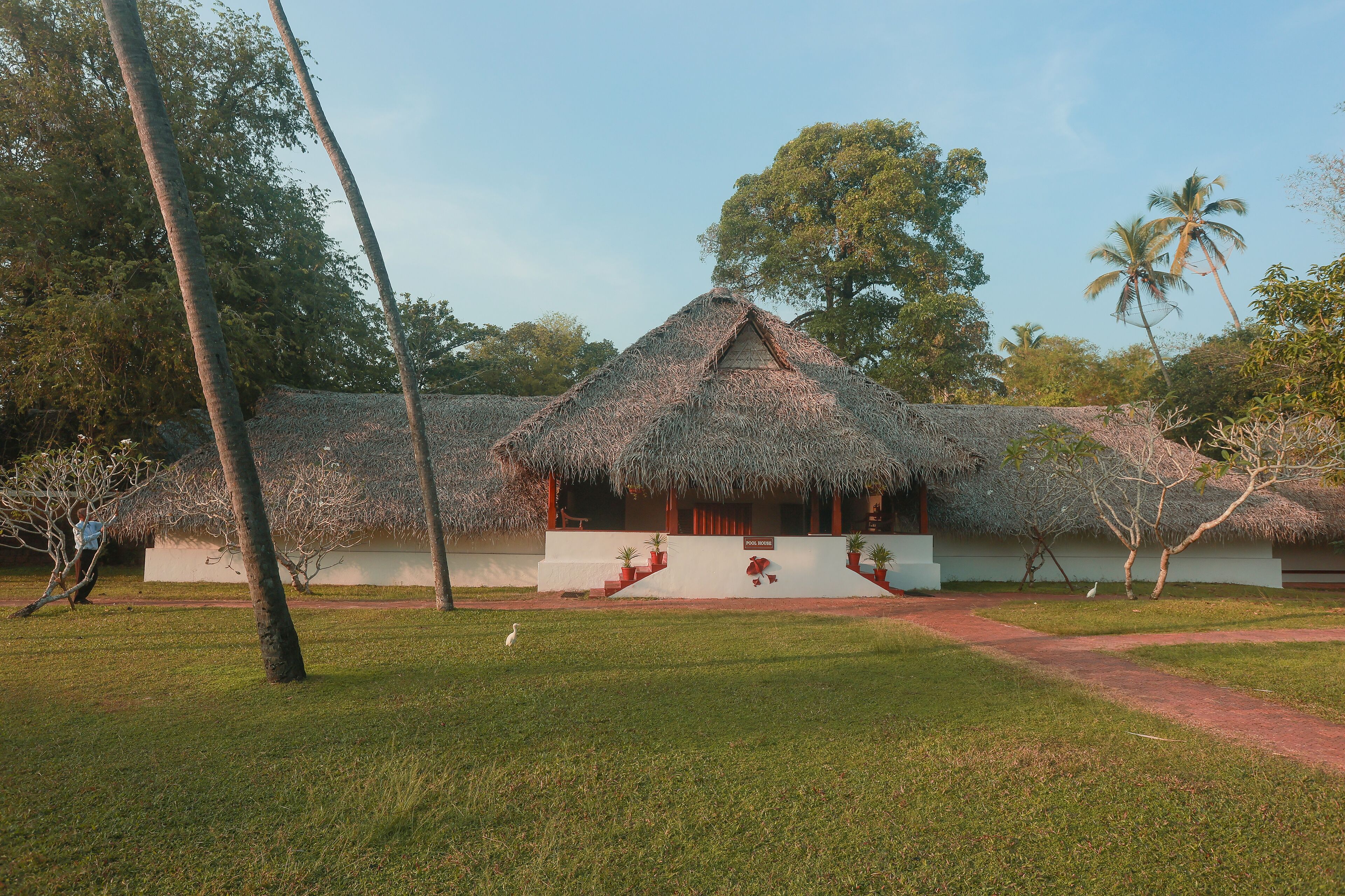 Un bâtiment traditionnel à toit de chaume, à l’extérieur blanc, entouré d’une végétation luxuriante et de palmiers.