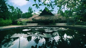 Um lago calmo com folhas de lírio, cercado por vegetação exuberante e uma construção com telhado de palha.