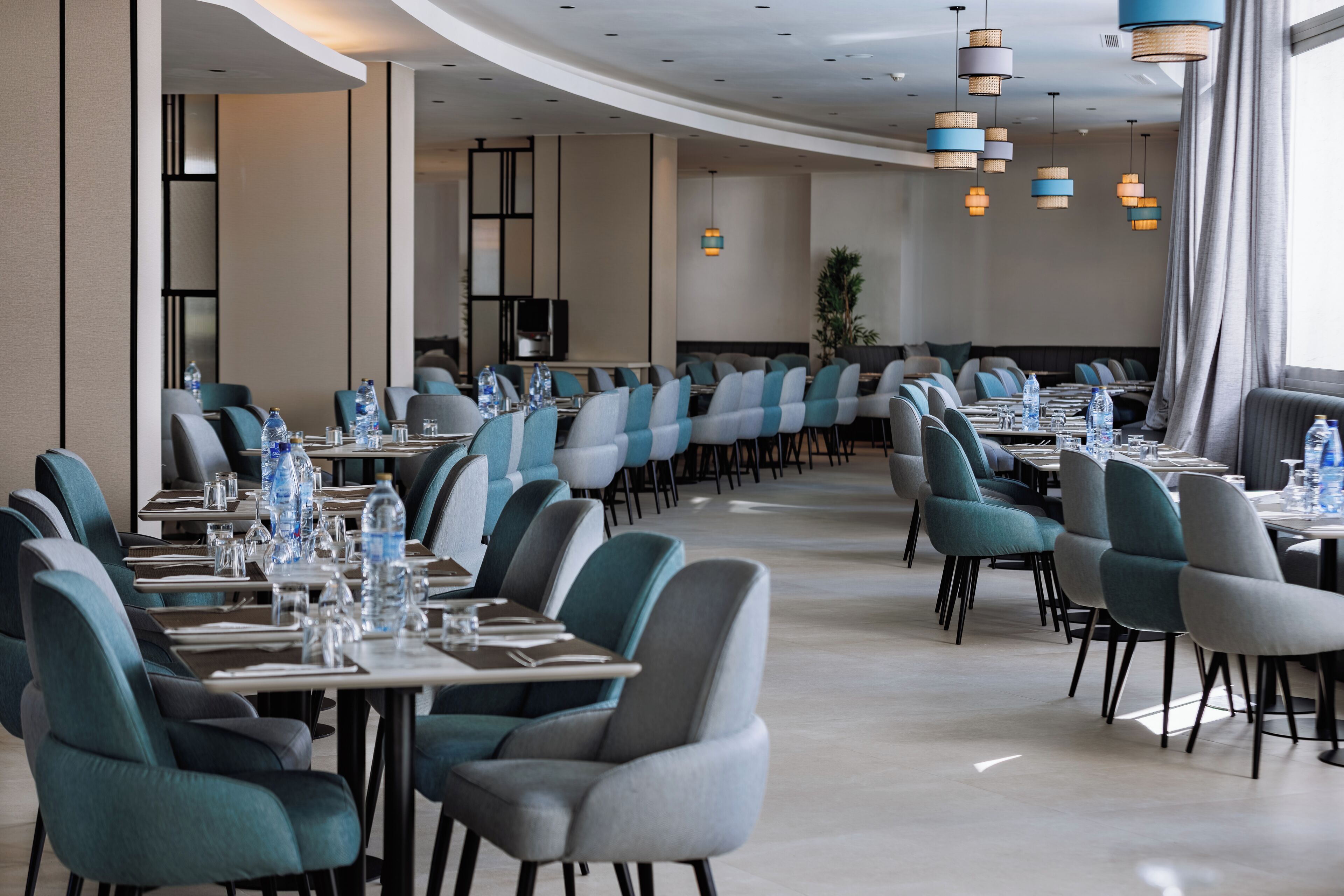 A modern dining area with rows of tables and chairs, water bottles, and a large plant in the center.