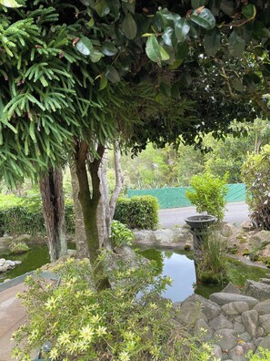 Garden - Mataki Motels (Murchison)