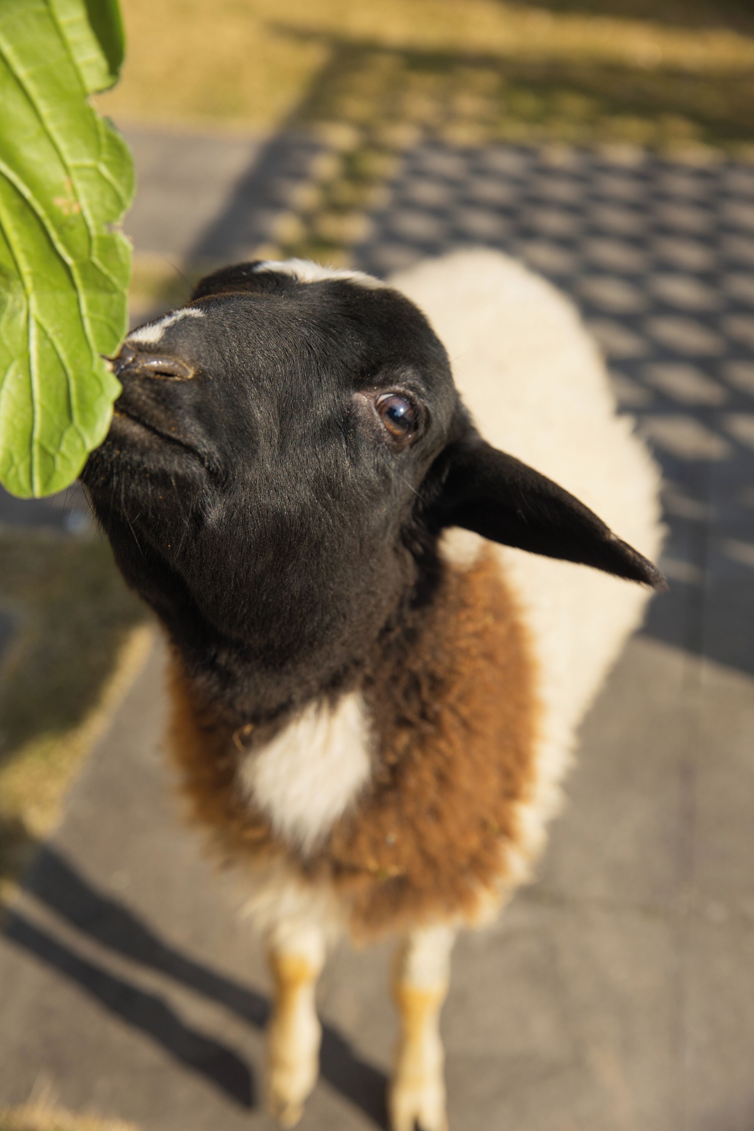 children’s activities