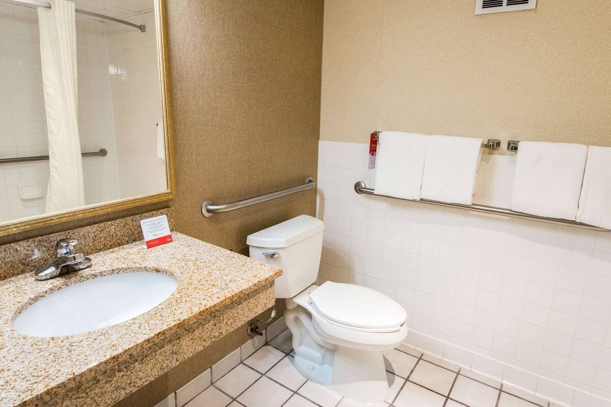 combined shower/bathtub, free toiletries, hair dryer, towels