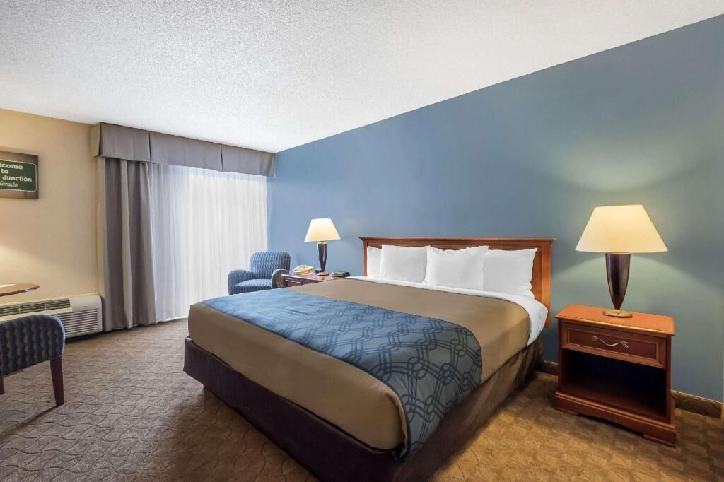 Iron/ironing board, free cots/infant beds, rollaway beds, free WiFi