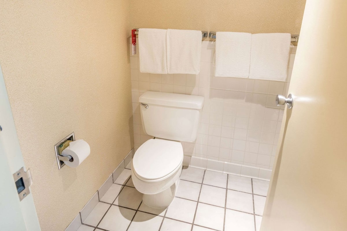 A small, clean bathroom with a toilet, a paper towel dispenser, and a towel rack with two towels.