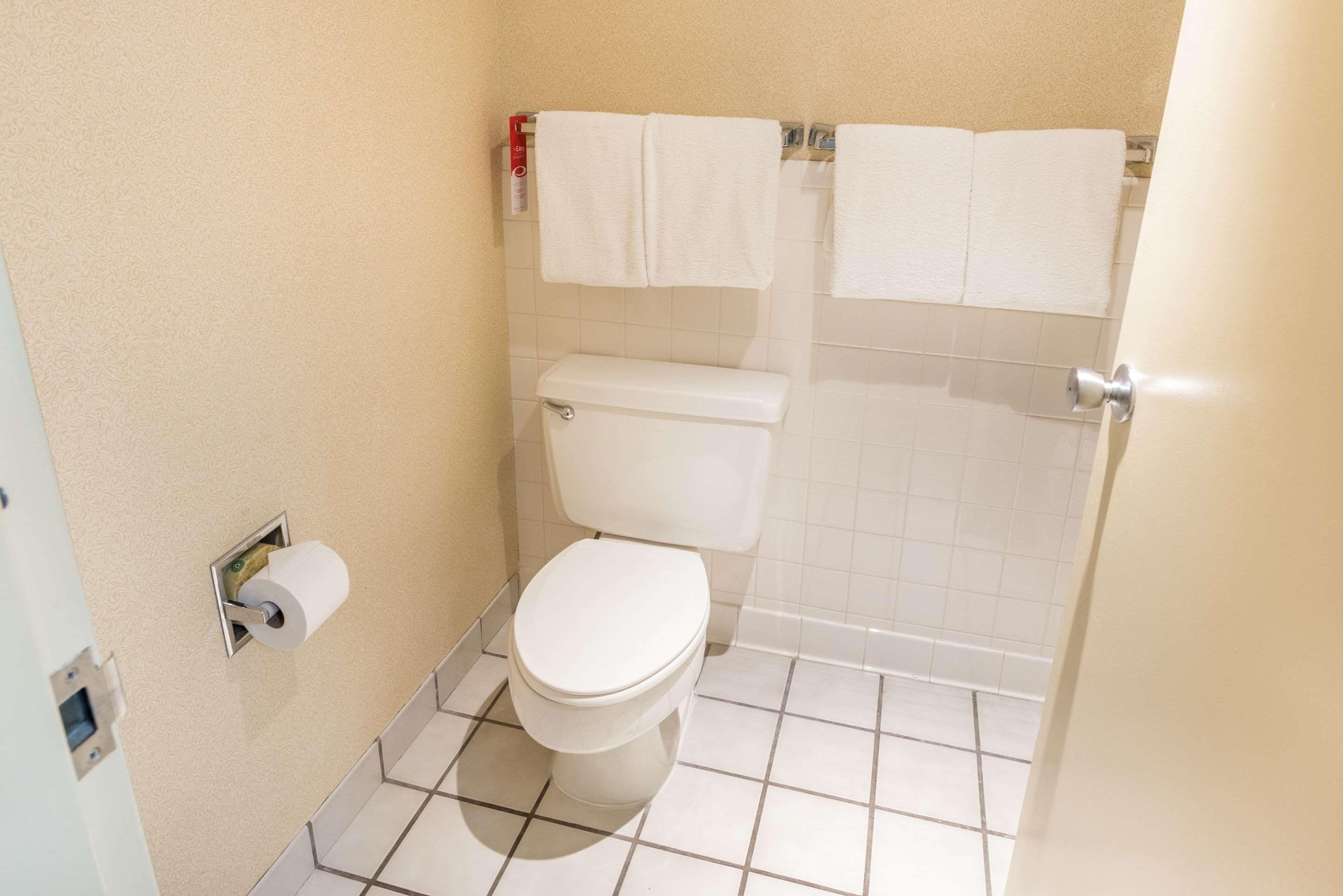 combined shower/bathtub, free toiletries, hair dryer, towels