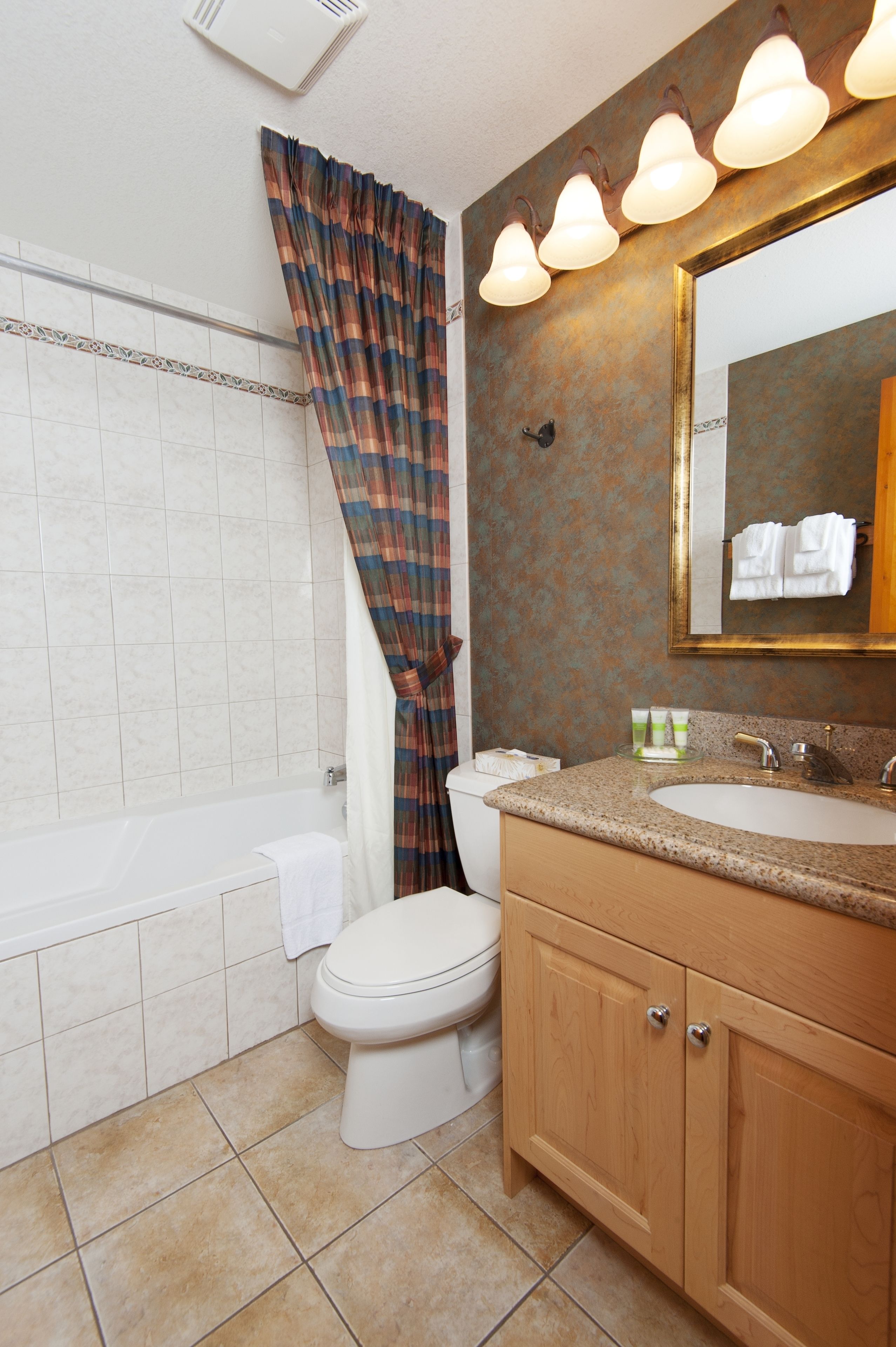 combined shower/bathtub, free toiletries, hair dryer, towels