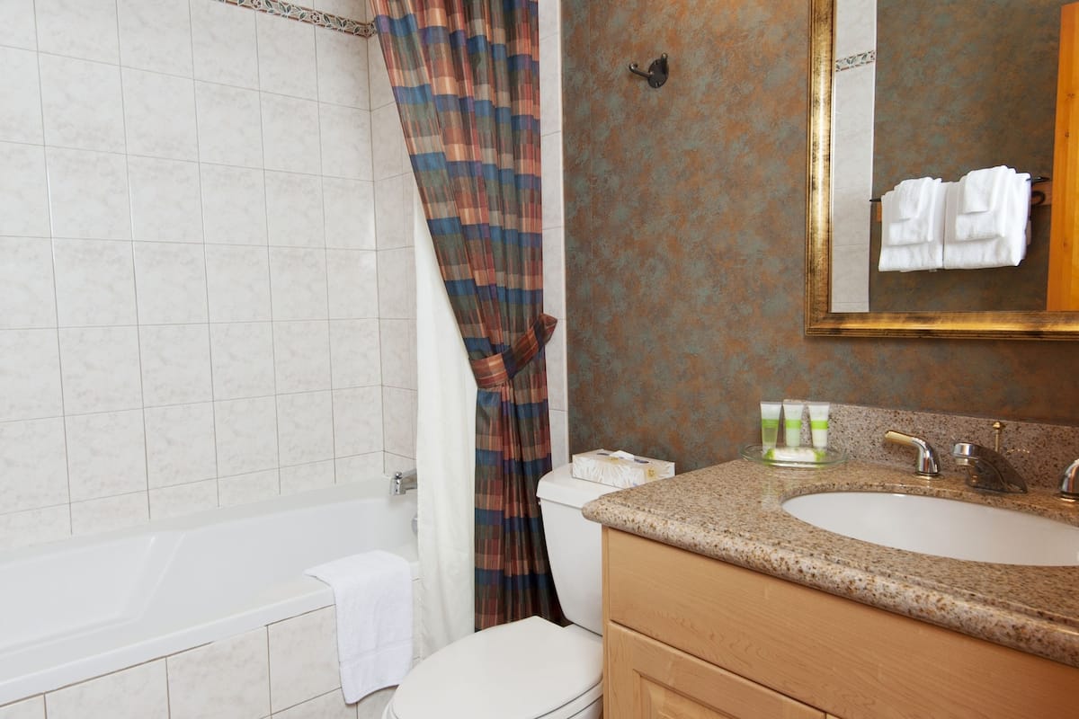 combined shower/bathtub, free toiletries, hair dryer, towels
