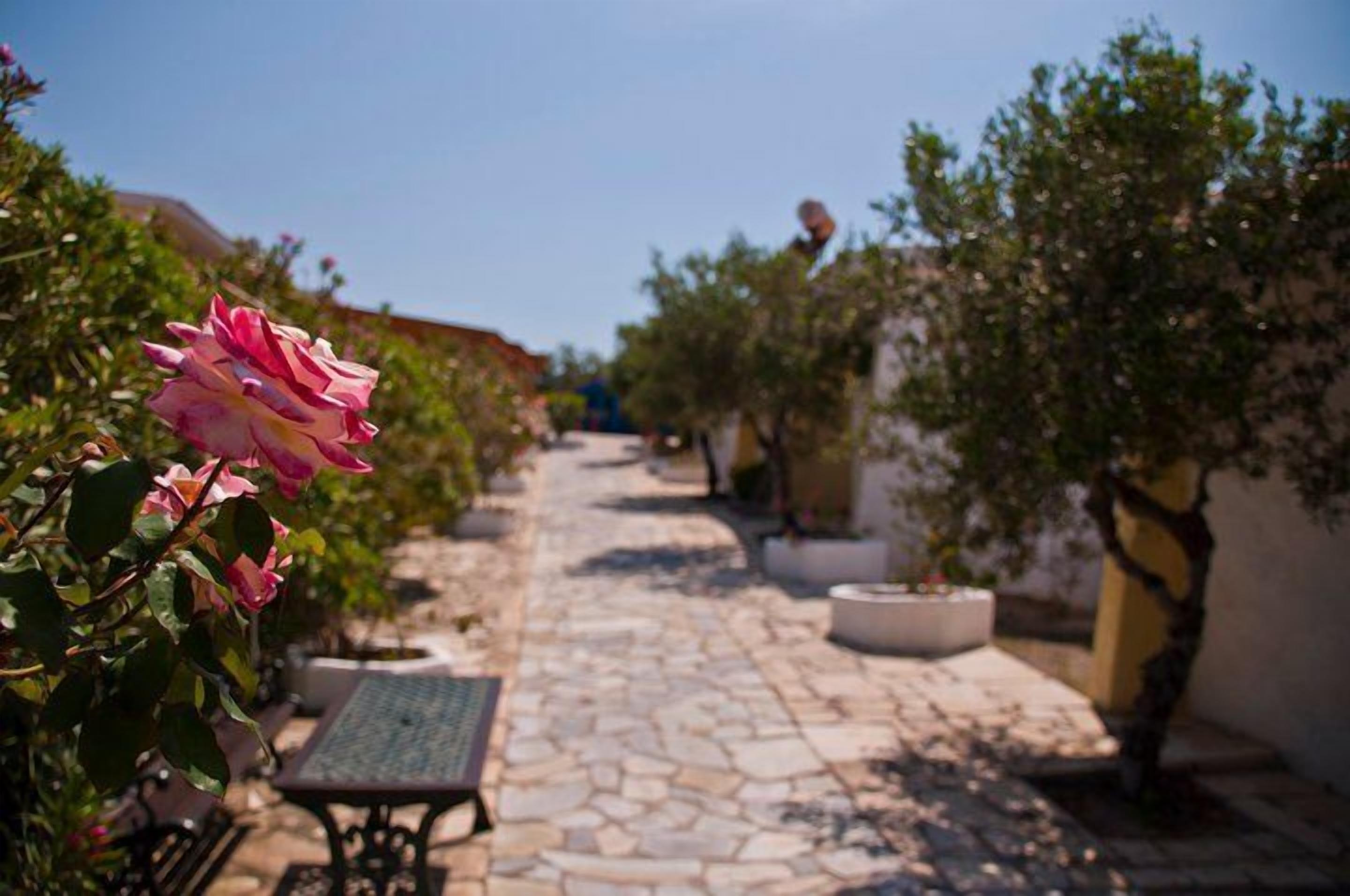 Foto - Lassion Hotel