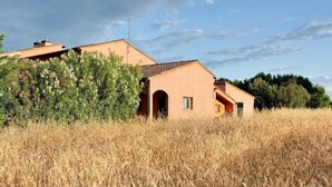 Un edificio rústico con tejado de tejas, rodeado por un campo de trigo dorado, bajo un cielo despejado.