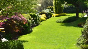 Property grounds - Hotel Aurora (Chiavenna)