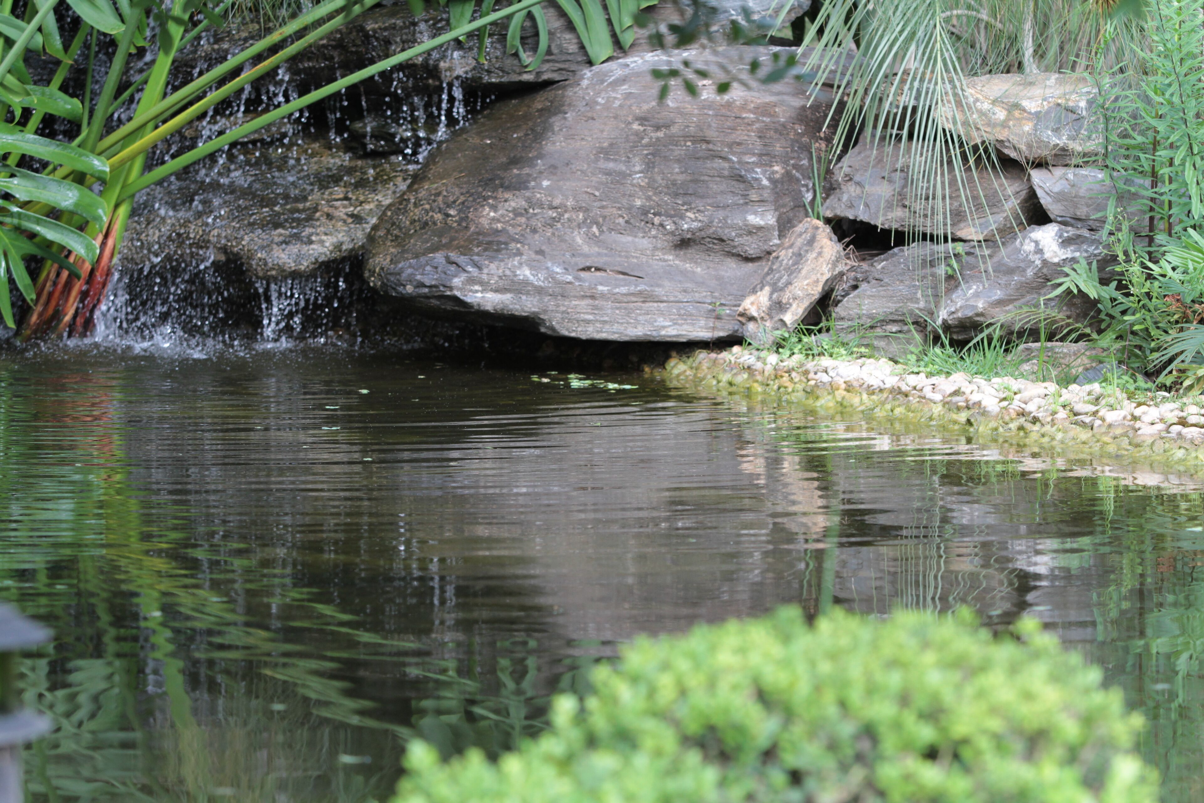 Foto - Pousada Surucuá - Bonito MS