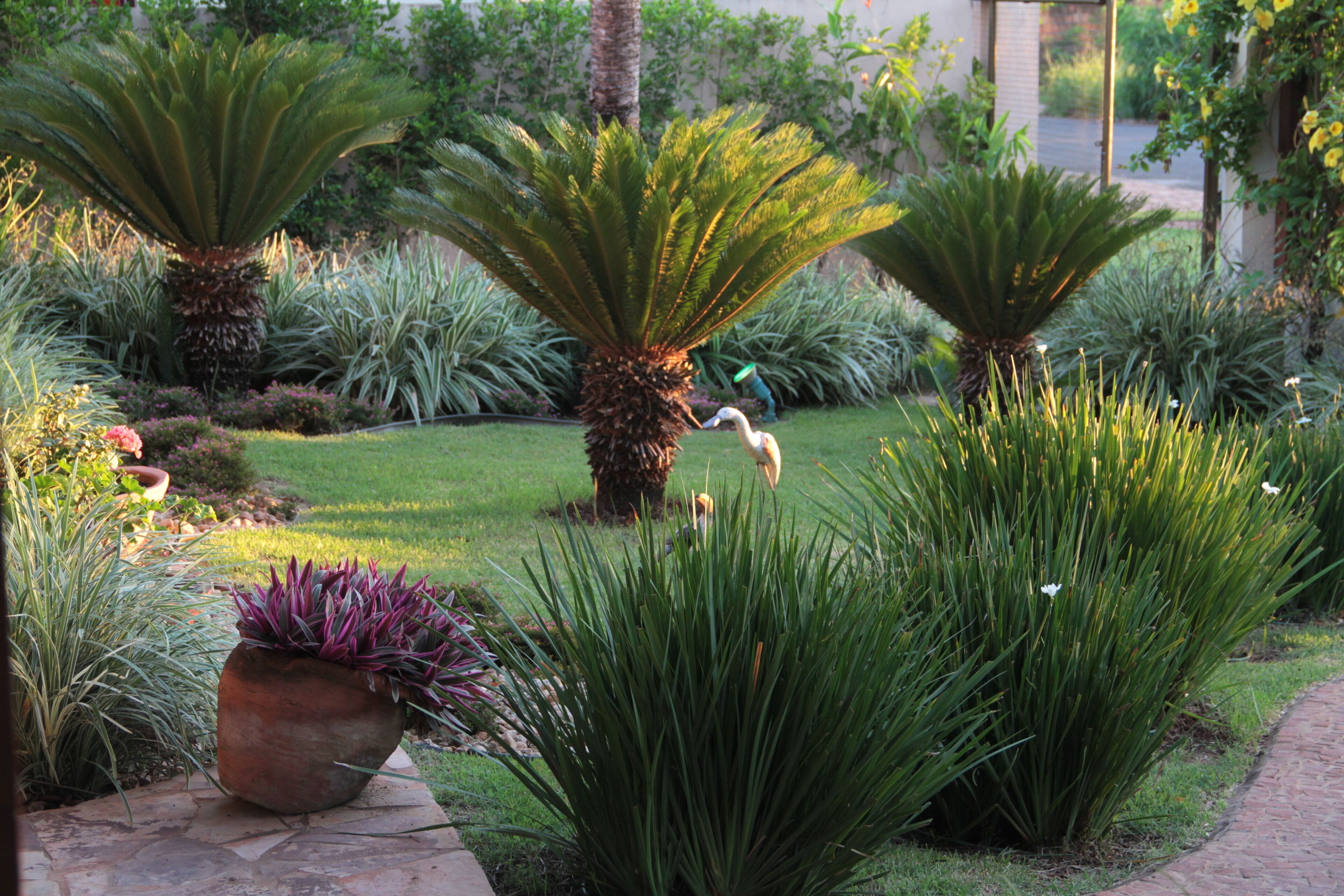 Foto - Pousada Surucuá - Bonito MS