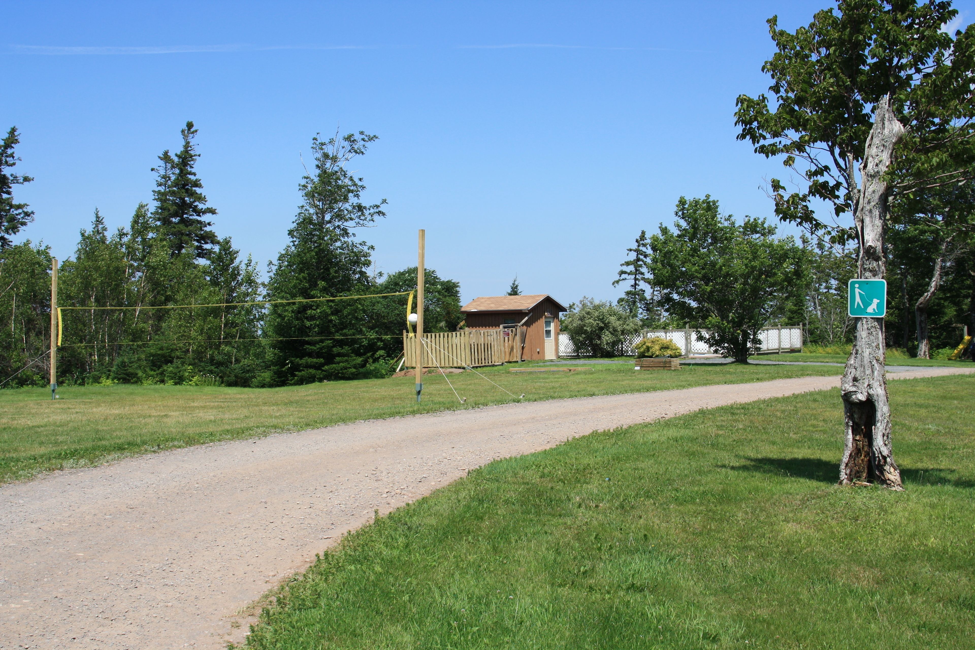 A rural setting with a dirt path leading to a wooden structure, surrounded by trees and a clear sky.