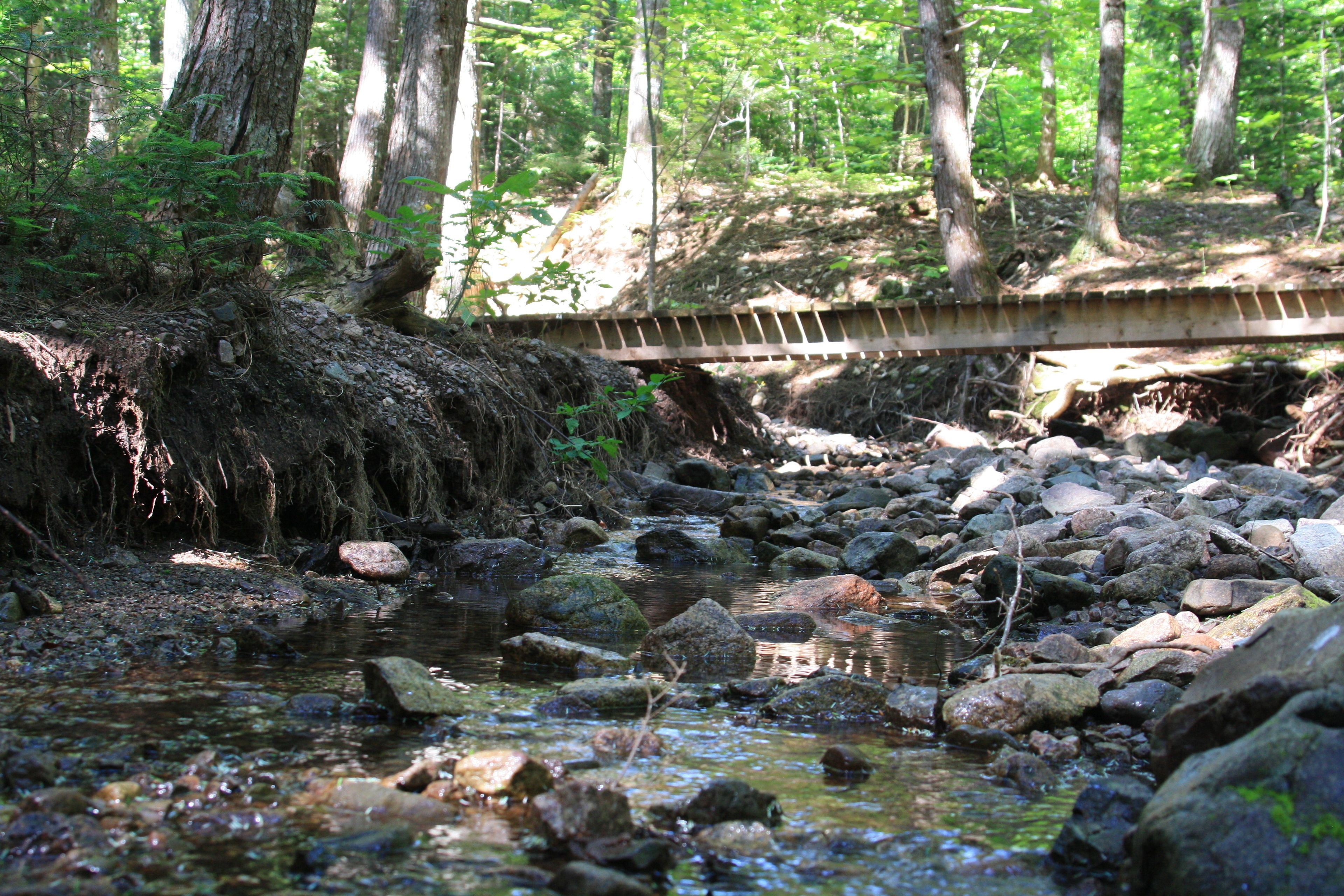 Un ruisseau de forêt, avec des rochers et un pont en bois.