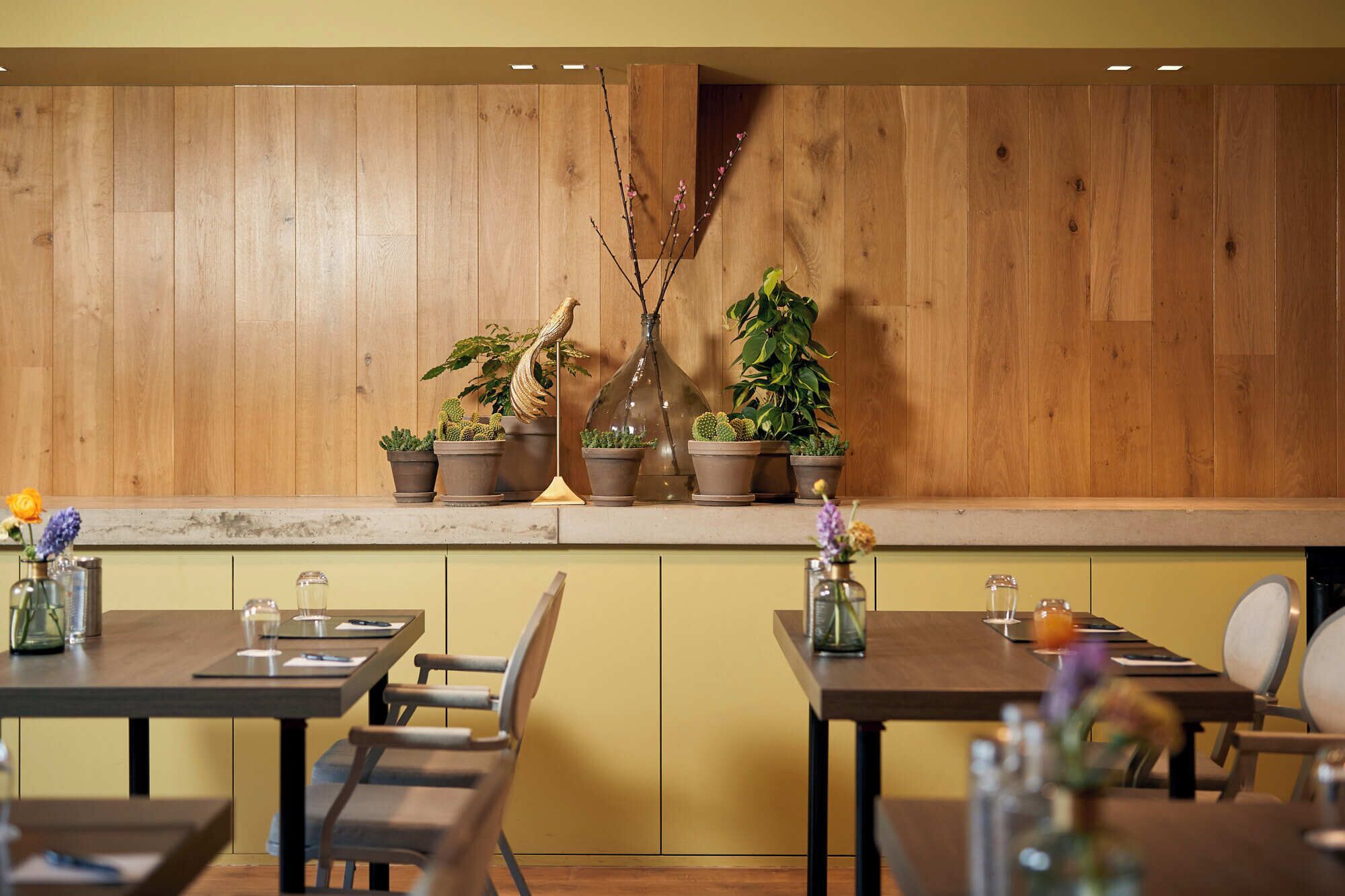 Een restaurantinterieur met houten paneelwanden, meerdere tafels met stoelen en potplanten op de balie.