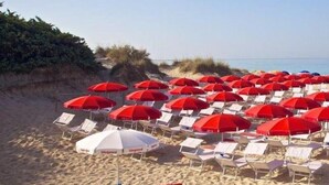En strand med rader av röda och vita parasoller och solstolar.
