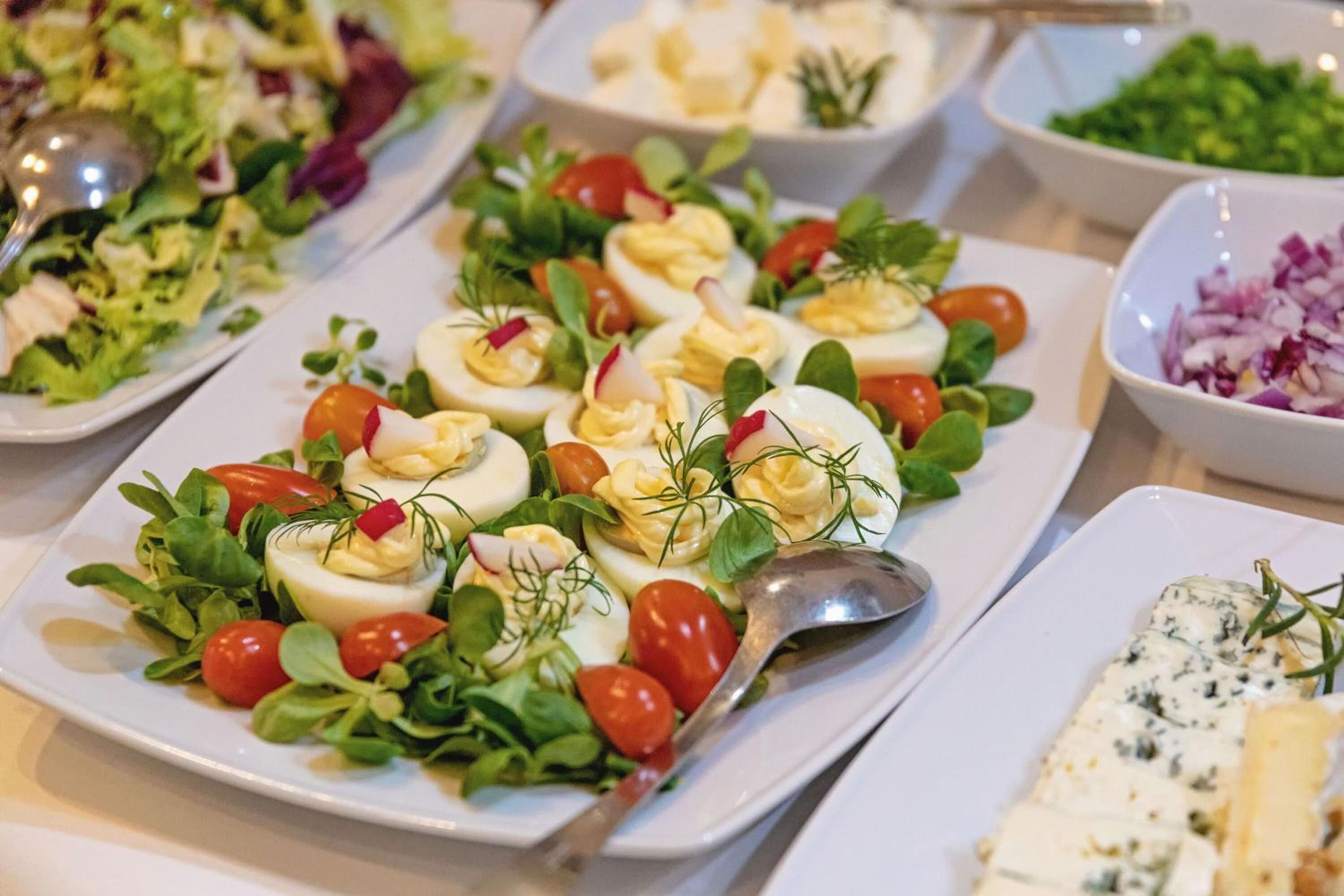 A buffet table with various dishes including a salad with cherry tomatoes, greens, and egg rolls, and a bowl of sliced cheese with herbs.