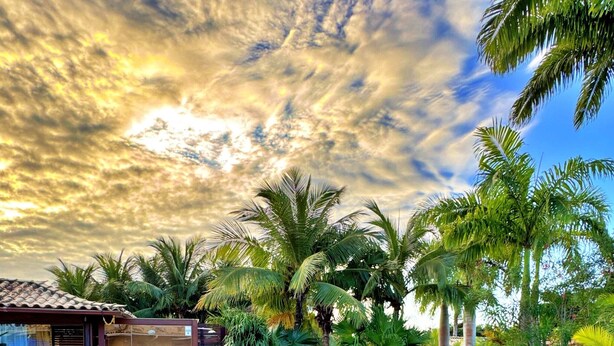 A swimming pool with clear blue tiles, surrounded by palm trees and a stone deck. - Villa Baobá (Búzios)