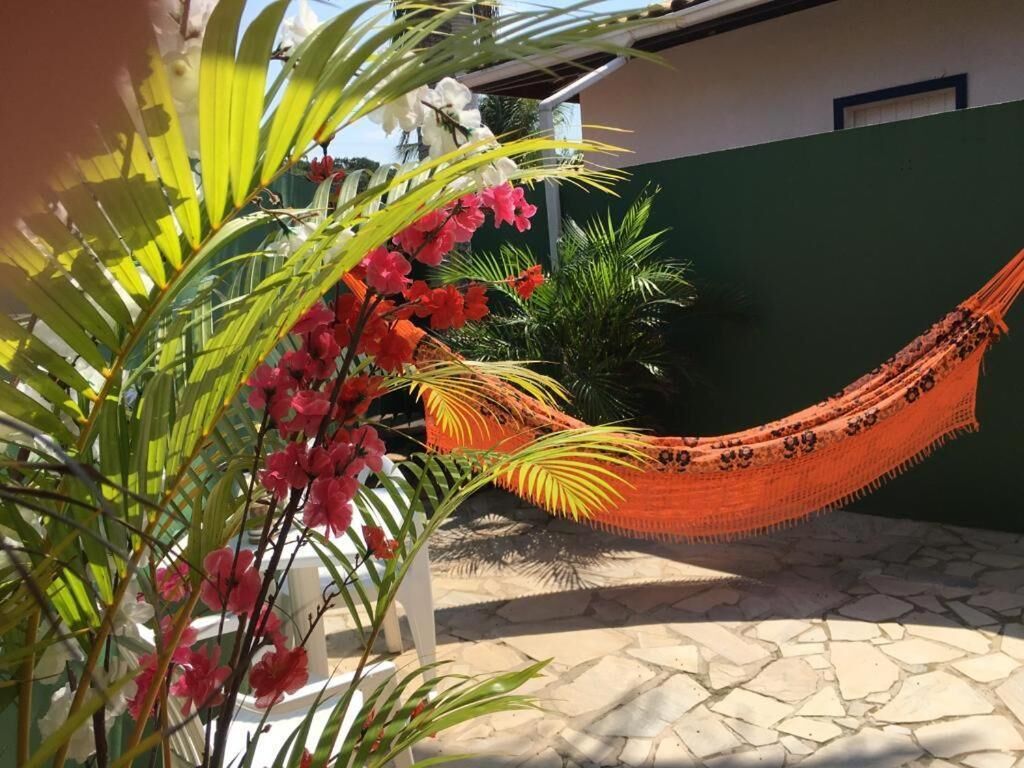 A hammock in a courtyard with a green wall and potted plants.