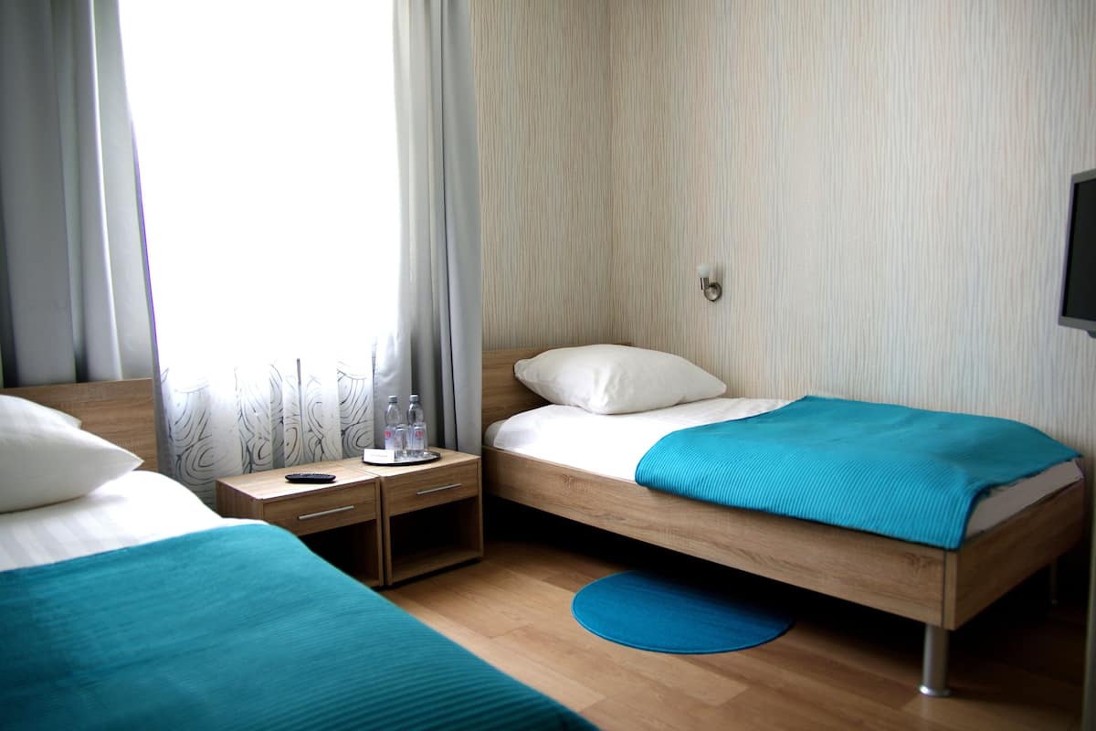 Habitación de hotel con dos camas individuales, una mesita de noche de madera, una mesita auxiliar, una alfombra azul y una ventana con cortinas.