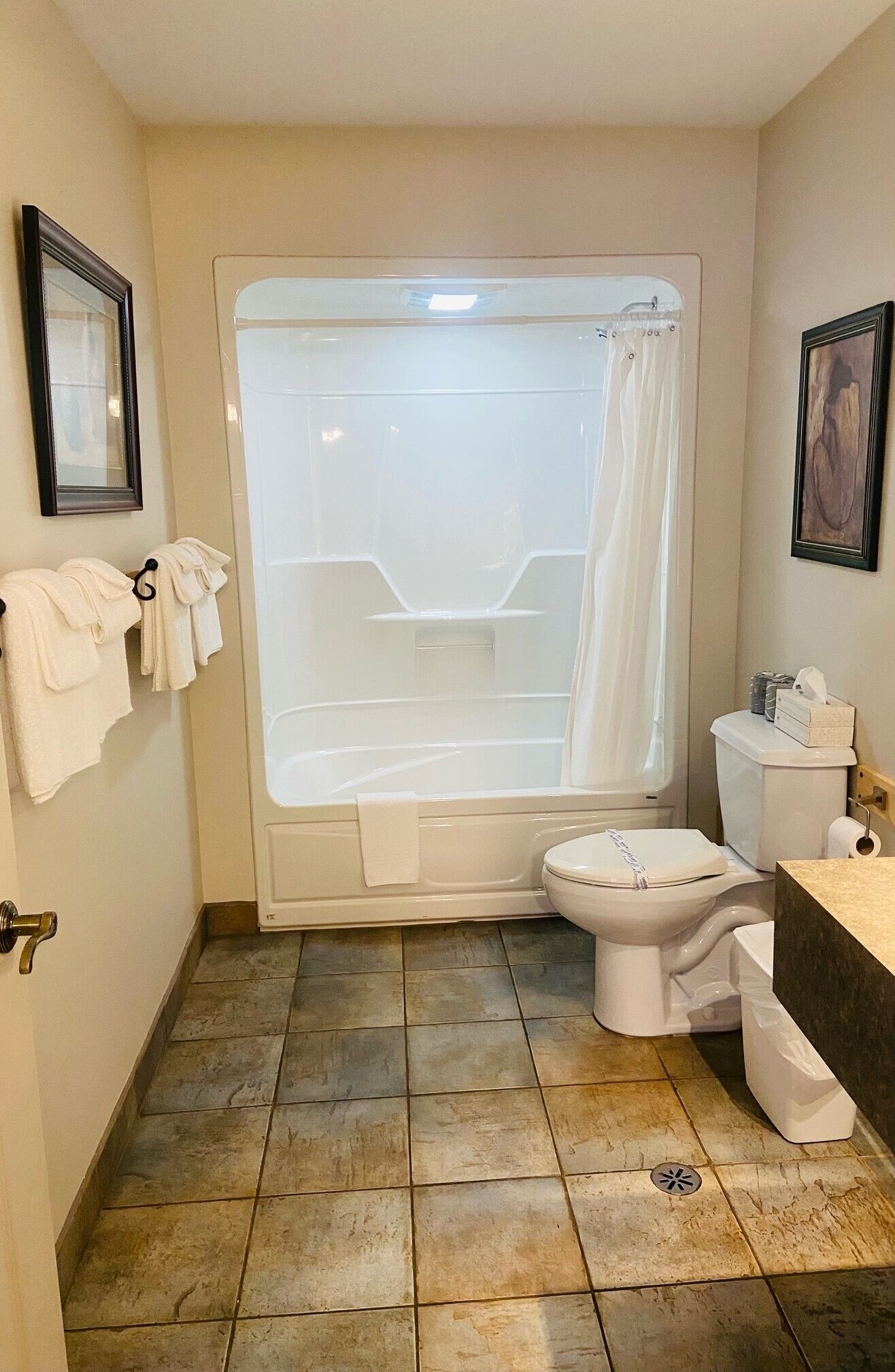 Un bagno con vasca, water e tenda da doccia. Asciugamani appesi a un portasciugamani e un quadro appeso al muro.