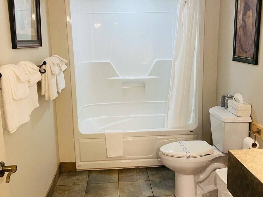 Un bagno con vasca, water e tenda da doccia. Asciugamani appesi a un portasciugamani e un quadro appeso al muro.