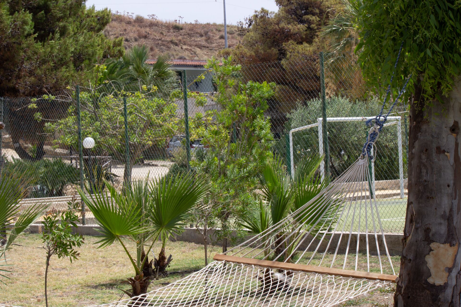 A hammock suspended between trees in a fenced enclosure with a view of a hill and a building in the background.