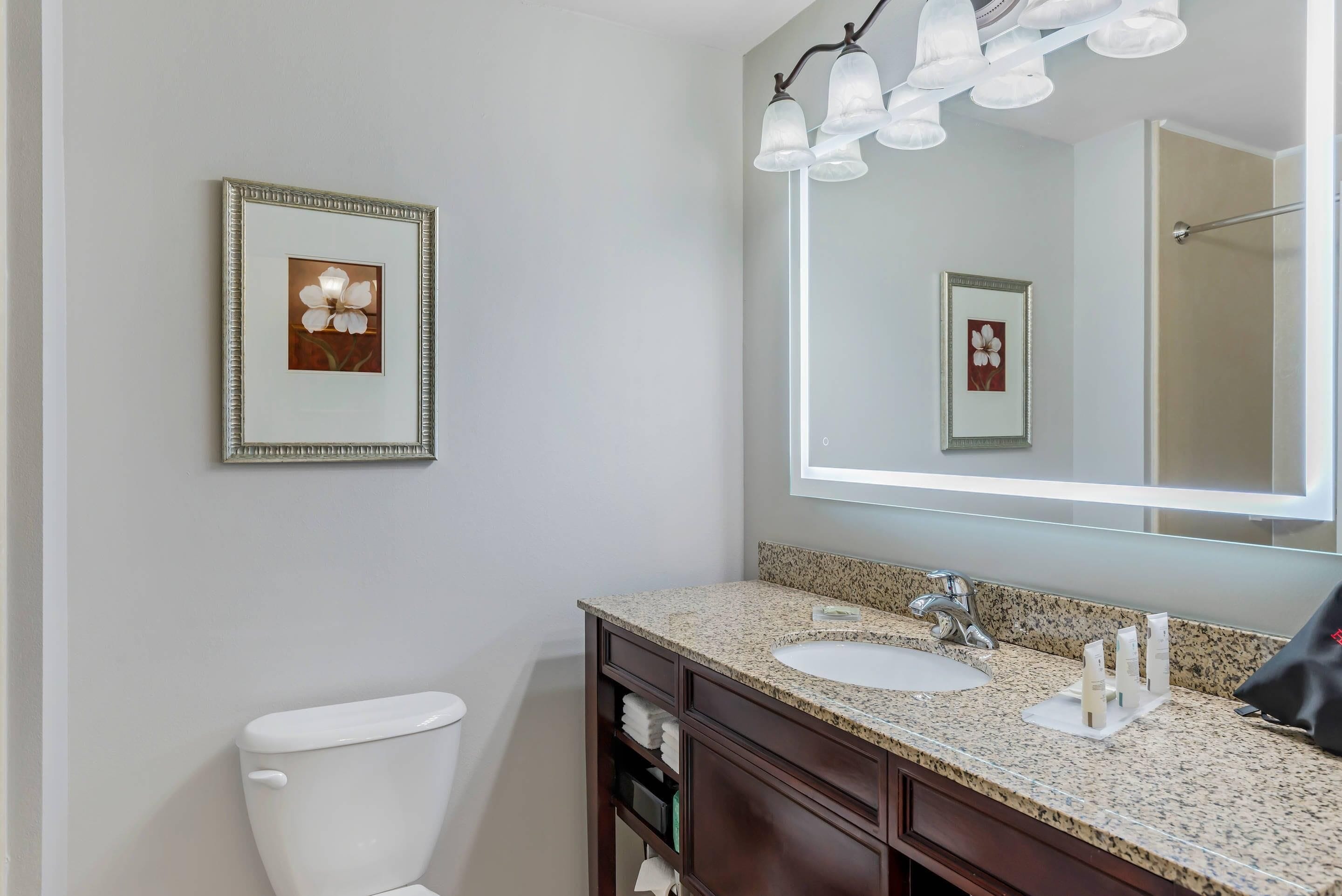 A bathroom with a toilet, a sink with a granite countertop, a mirror, and two framed pictures on the wall.