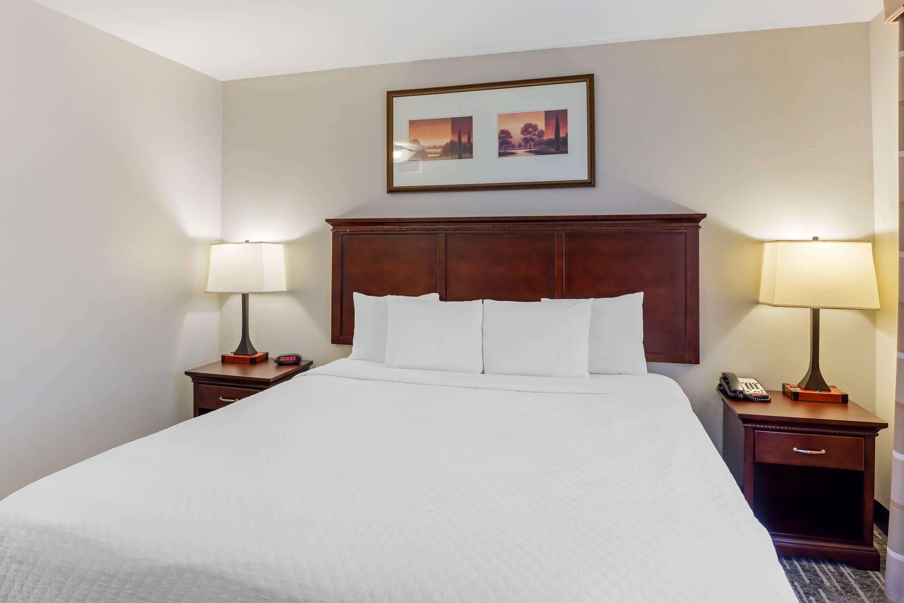 Deluxe Suite, 1 Bedroom, Non Smoking (1 King Bed)