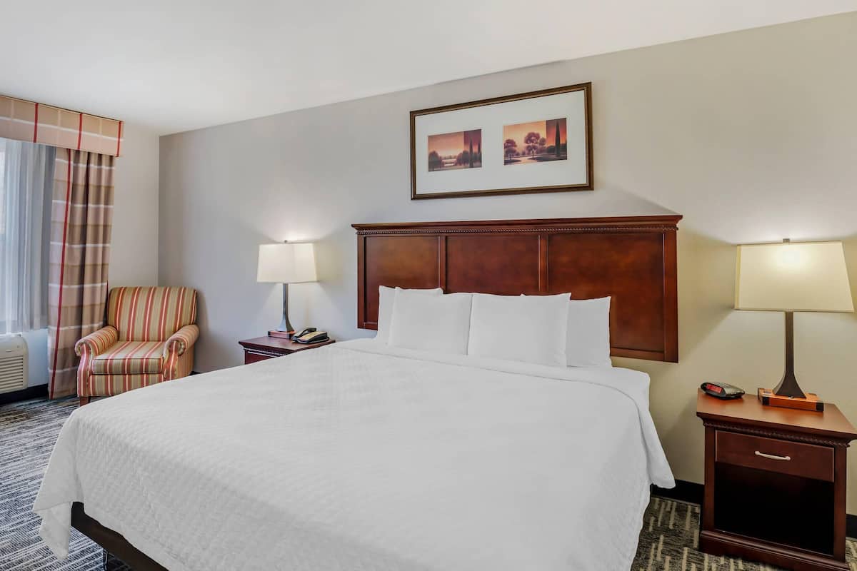 Pillow-top beds, individually furnished, desk, laptop workspace