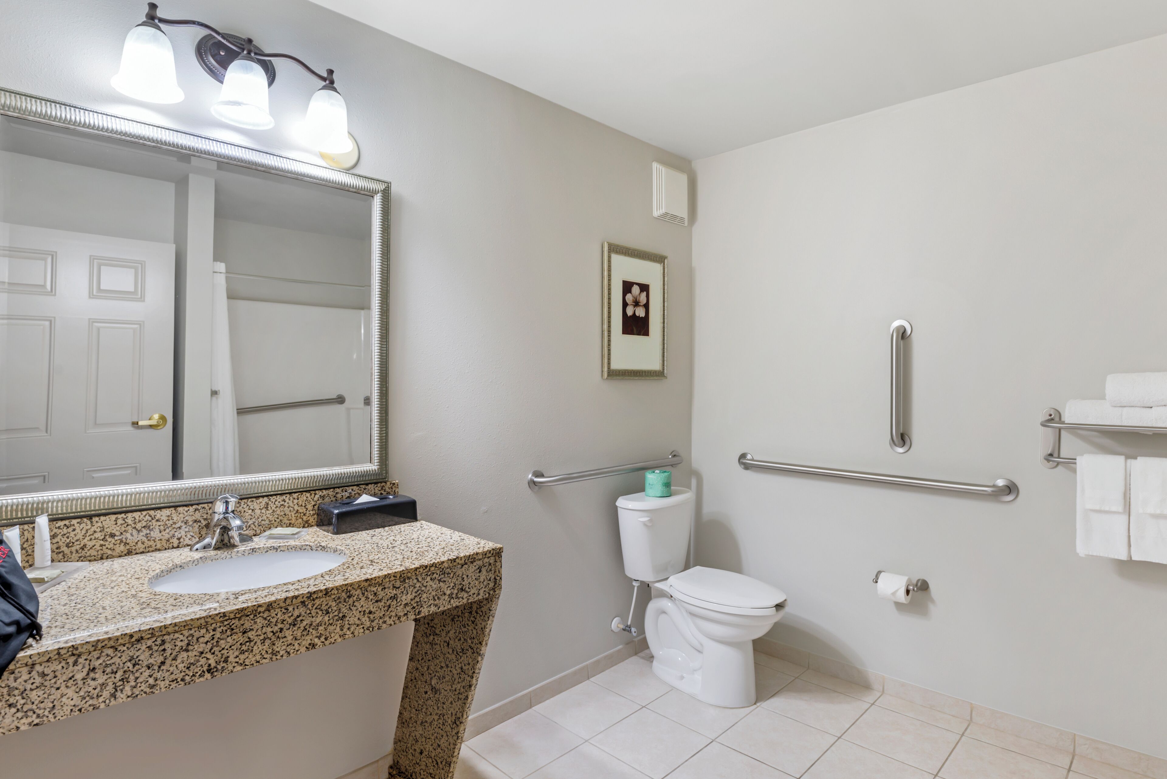 standard room, 1 king bed, accessible, bathtub (accessible) | bathroom | free toiletries, hair dryer, towels, soap