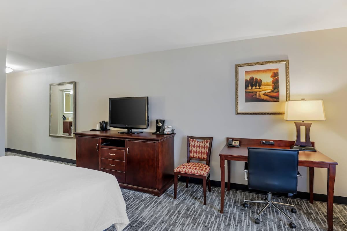 A hotel room with a bed, a desk with a chair, a television, a lamp, a framed picture on the wall, and a mirror.