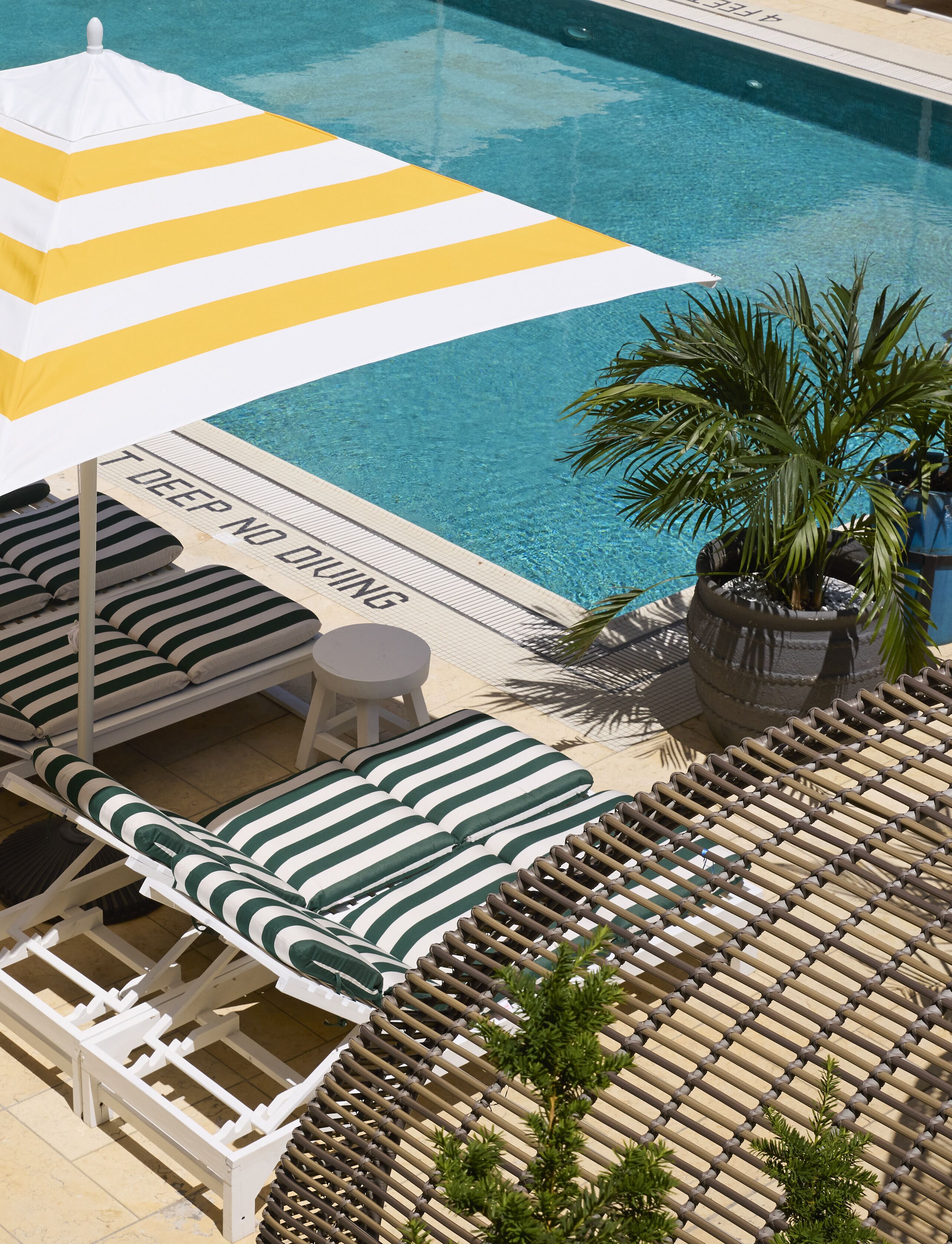 Photo - CODA Williamsburg