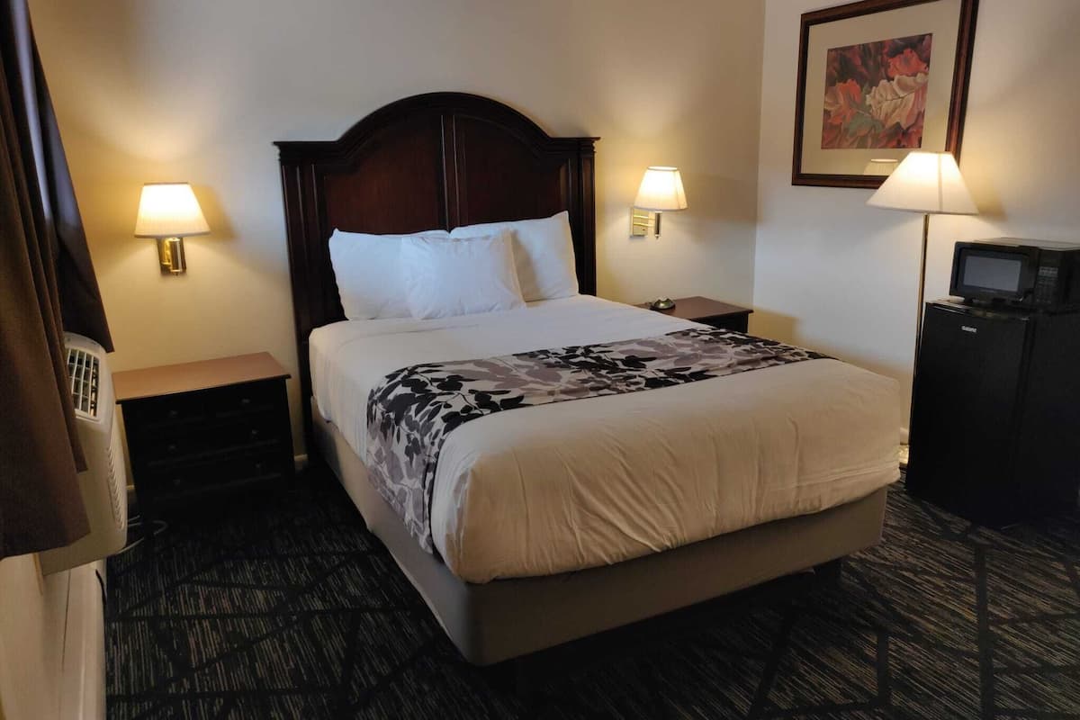 A hotel room with a large bed, two bedside lamps, a flat-screen TV, and a framed floral artwork on the wall.