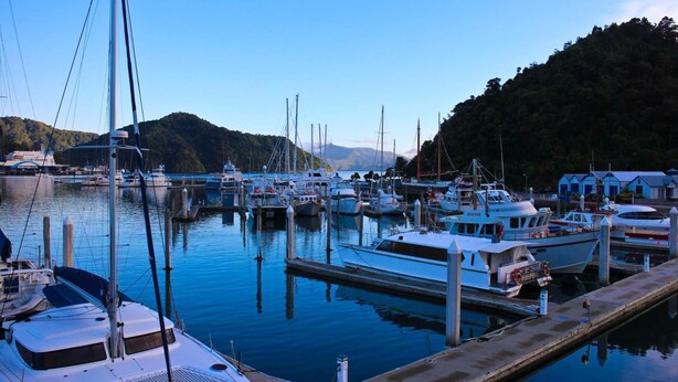 Un port de plaisance où de nombreux bateaux sont amarrés à des quais en bois, le tout entouré de collines et sous un ciel dégagé.