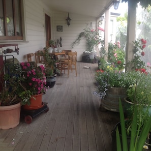 Classic-Suite, 1 King-Bett | Terrasse/Patio