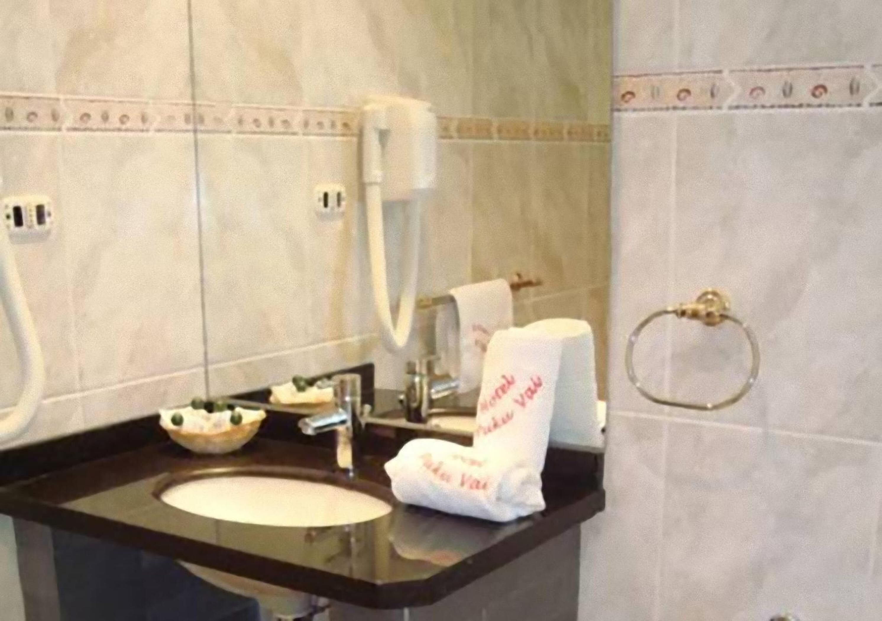 combined shower/bathtub, free toiletries, hair dryer, towels