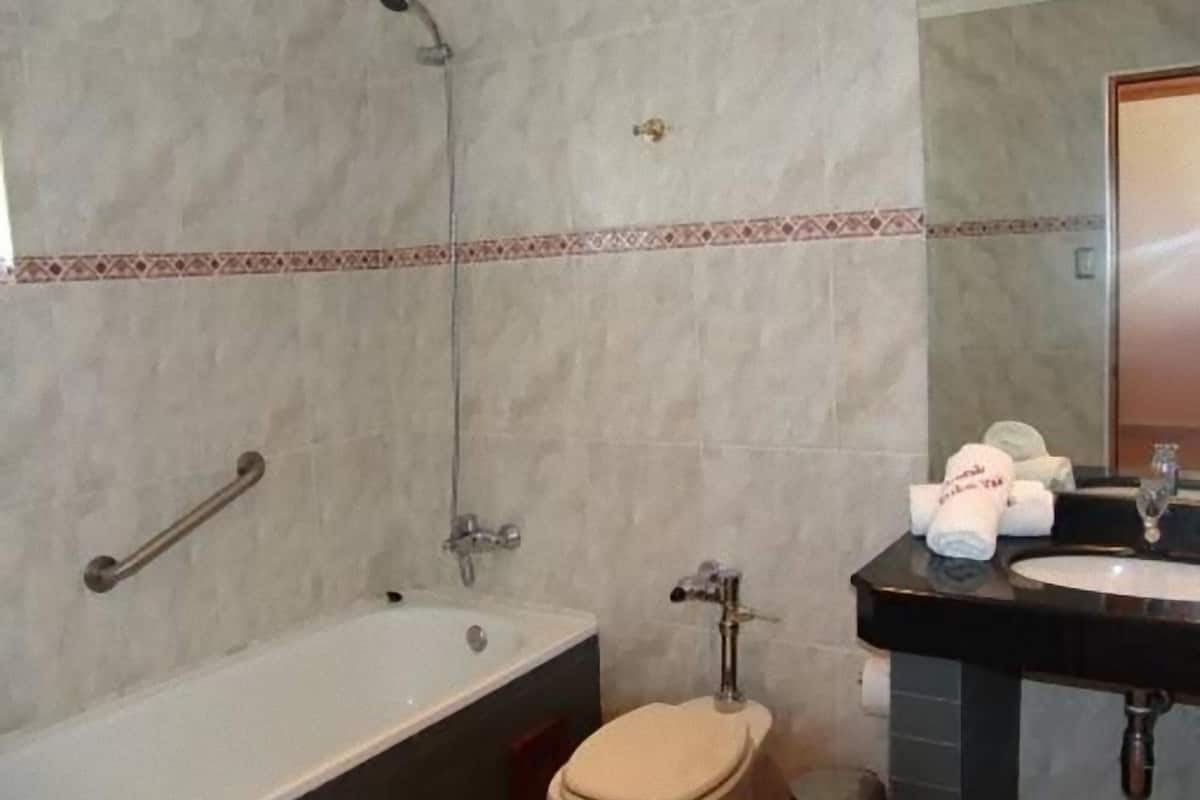 combined shower/bathtub, free toiletries, hair dryer, towels