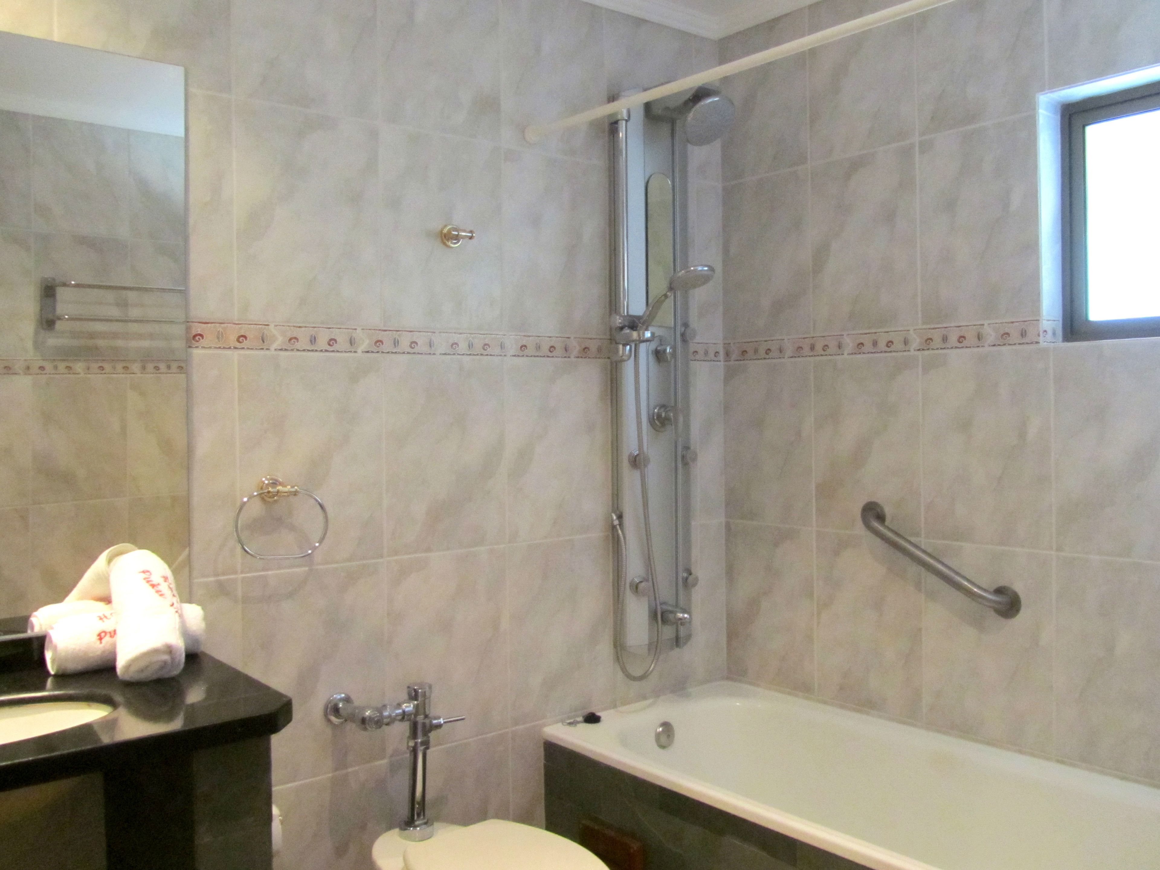 combined shower/bathtub, free toiletries, hair dryer, towels
