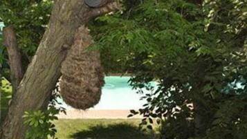 Kolam renang terbuka